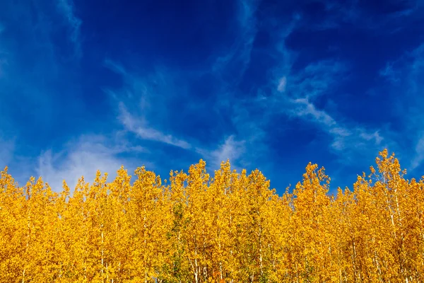 Jesień w steamboat springs colorado — Zdjęcie stockowe