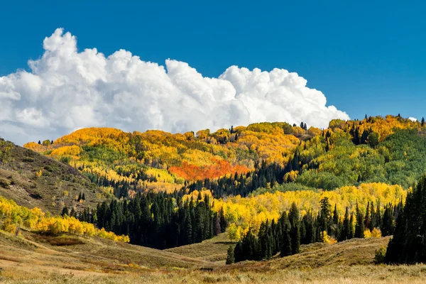 Automne à vapeur Springs Colorado — Photo