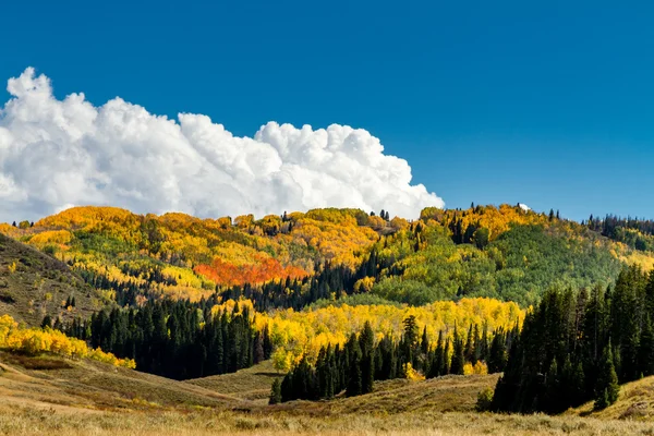 Automne à vapeur Springs Colorado — Photo