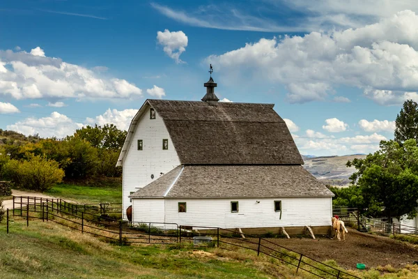 Jatuh di Steamboat Springs Colorado — Stok Foto