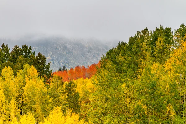 Caduta a Steamboat Springs Colorado — Foto Stock