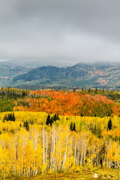 Queda em Steamboat Springs Colorado — Fotografia de Stock