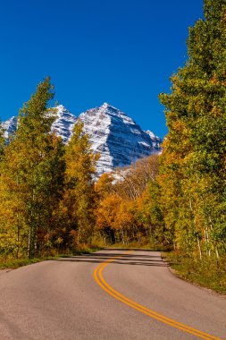 Aspen'de renk sonbahar colorado