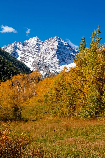 Vallen kleur in aspen colorado — Stockfoto