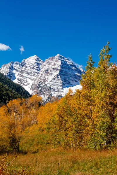 Fall Color in Aspen Colorado — Stock Photo, Image