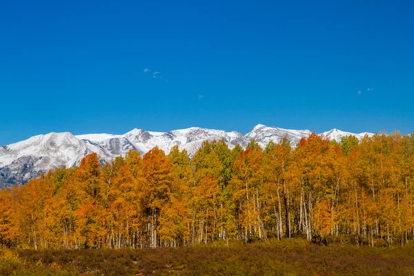 Colore autunno in Crested Butte Colorado — Foto Stock