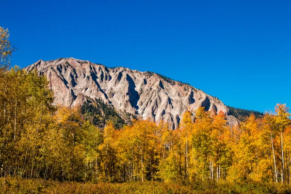 Herfst kleuren in crested butte colorado — Stockfoto