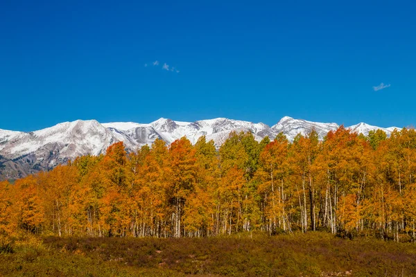 Colore autunno in Crested Butte Colorado — Foto Stock