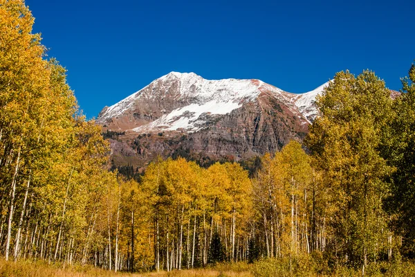 Colore autunno in Crested Butte Colorado — Foto Stock
