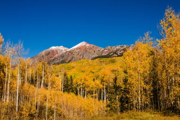 Õszi szín, a meztelen butte colorado — Stock Fotó