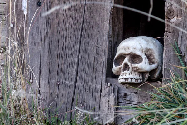 Caveiras e decorações de Halloween — Fotografia de Stock