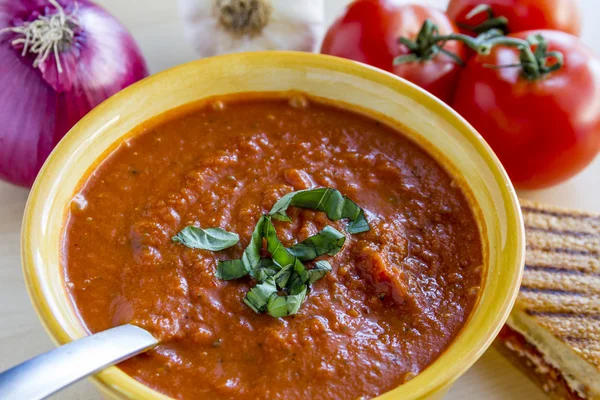 Sopa de tomate caseiro fresco — Fotografia de Stock