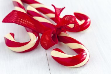 Noel Candy nane sopa ve köpekler