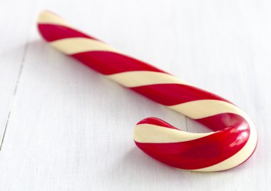 Noel Candy nane sopa ve köpekler