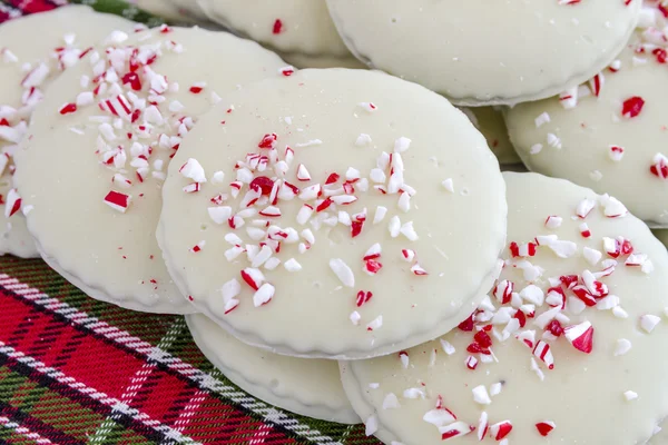 Chocolate Peppermint Holiday Cookies — Stock Photo, Image