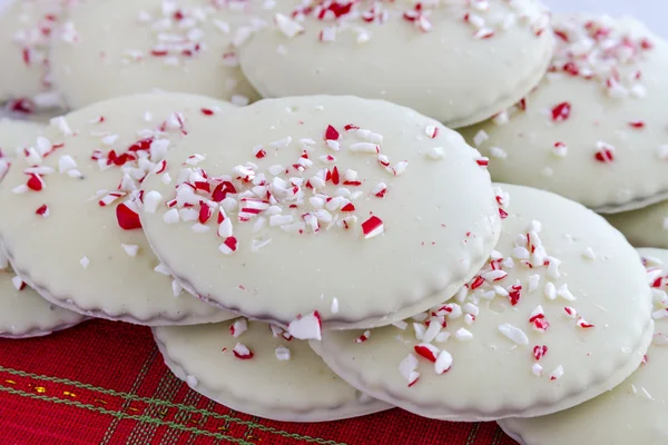 Chocolate Peppermint Holiday Cookies — Stock Photo, Image