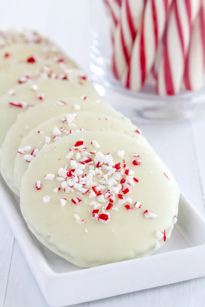 Chocolate Peppermint Holiday Cookies — Stock Photo, Image