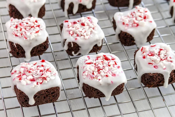 Czekolada Peppermint Brownie ukąszenia — Zdjęcie stockowe