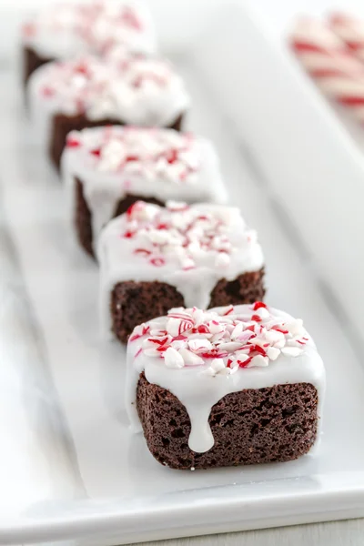 Chocolate Peppermint Brownie Bites — Stock Photo, Image