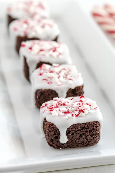 Czekolada Peppermint Brownie ukąszenia — Zdjęcie stockowe