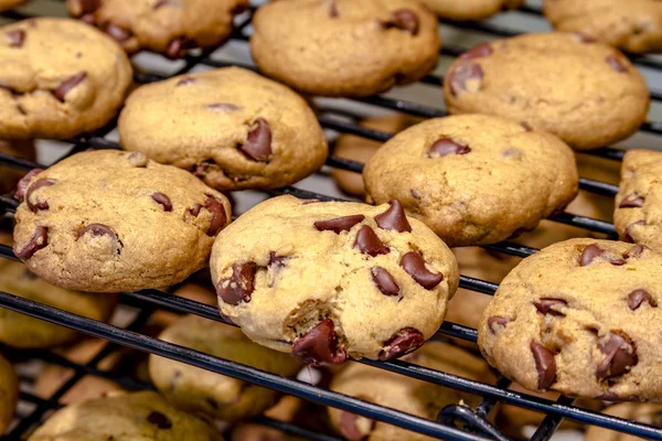 Making of Chocolate Chip Cookies — Stockfoto