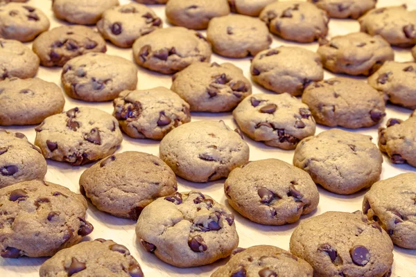 Fabricación de galletas de chispas de chocolate —  Fotos de Stock