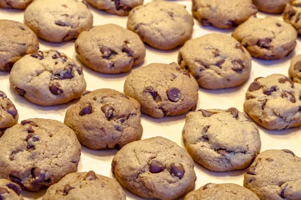 Produzione di biscotti al cioccolato — Foto Stock