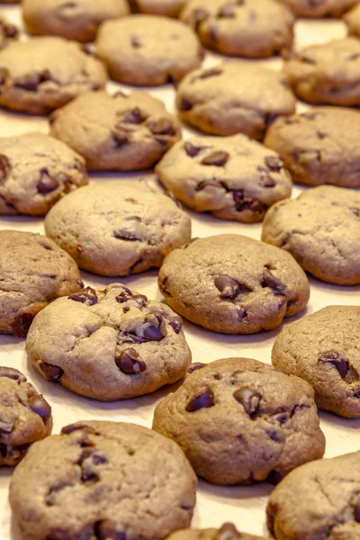 Fabricación de galletas de chispas de chocolate —  Fotos de Stock