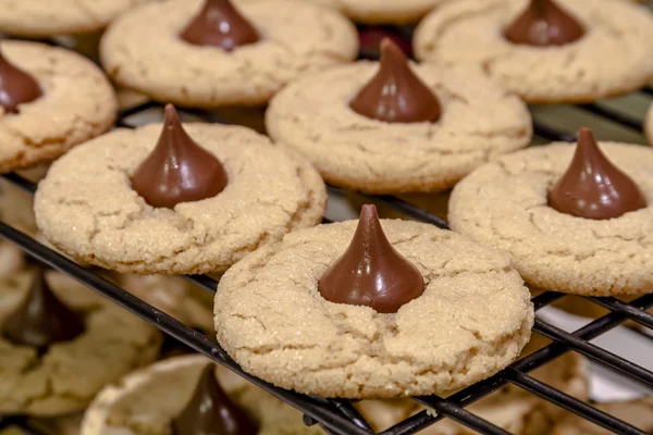 Making of Peanut Butter Cookies — Stock Photo, Image