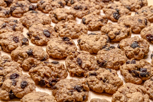 Elaboración de galletas de avena con pasas —  Fotos de Stock