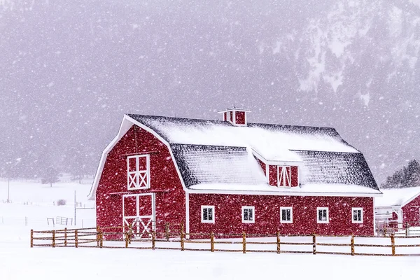 Rode schuur in de sneeuw — Stockfoto