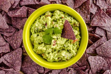 Taze ev yapımı tıknaz Guacamole DIP