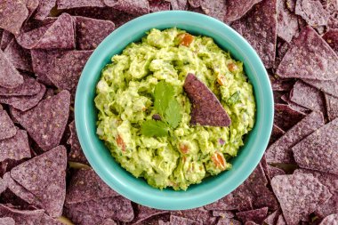 Taze ev yapımı tıknaz Guacamole DIP