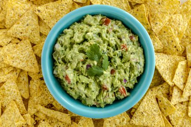 Taze ev yapımı tıknaz Guacamole DIP