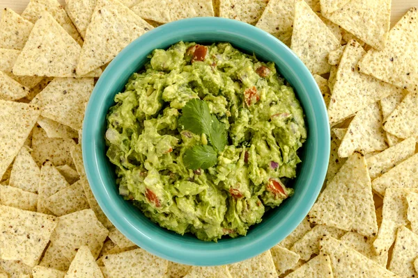 Taze ev yapımı tıknaz Guacamole DIP
