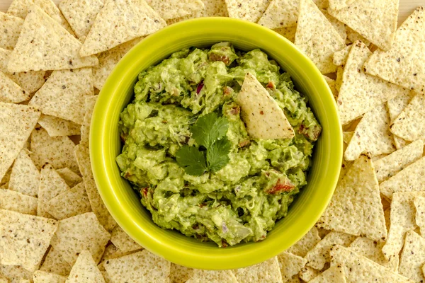 Taze ev yapımı tıknaz Guacamole DIP