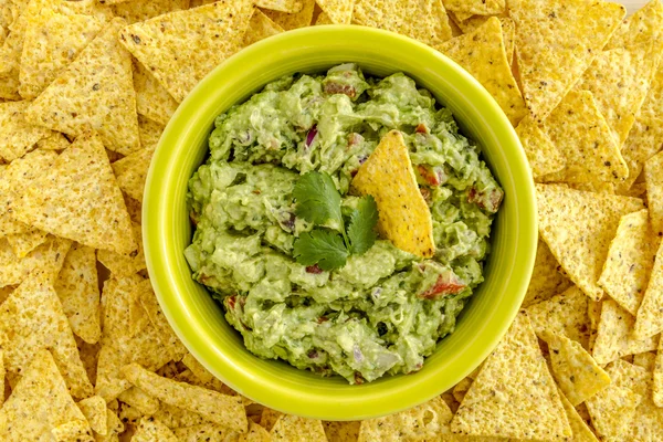Taze ev yapımı tıknaz Guacamole DIP