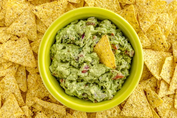 Taze ev yapımı tıknaz Guacamole DIP