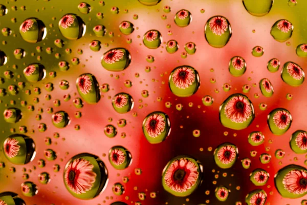 Abstract Water Drops Macro Backgrounds — Stock Photo, Image