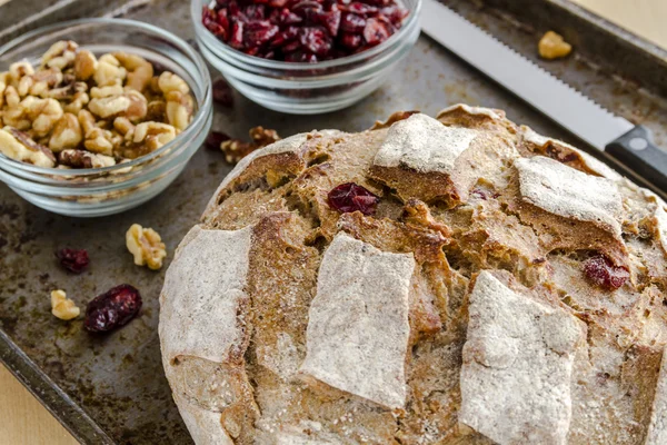 Pão de noz de cranberry cozido no forno fresco — Fotografia de Stock