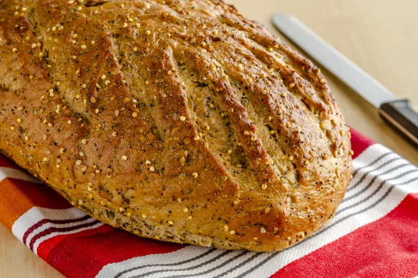 신선하게 구운 통밀 과파낸 빵 — 스톡 사진