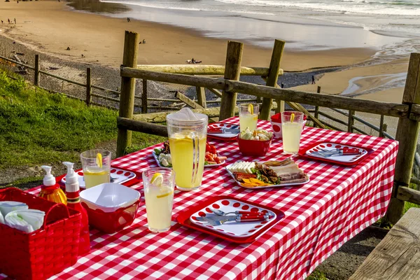 Tramonto pic-nic sull'oceano vista — Foto Stock