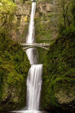 Doğal Multnomah Falls Oregon