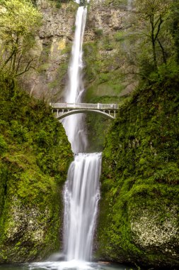 Doğal Multnomah Falls Oregon