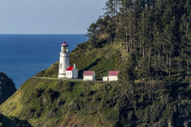 Heceta kafa tarihi Oregon deniz feneri