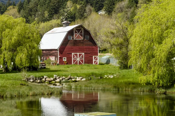 Brinnon Washington Barn by Pond — Stock Photo, Image