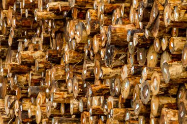 Logging Industry Log Yard clipart