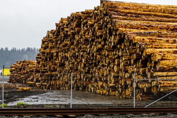 Loggning av industrin Log gård — Stockfoto