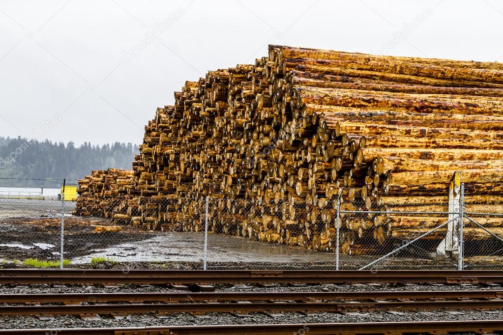 Logging Industry Log Yard