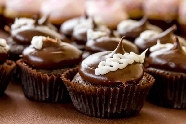 Cupcakes variados em exposição — Fotografia de Stock